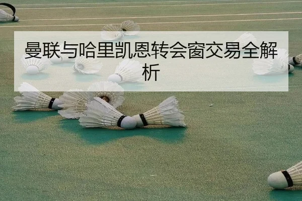 曼联与哈里凯恩转会窗交易全解析